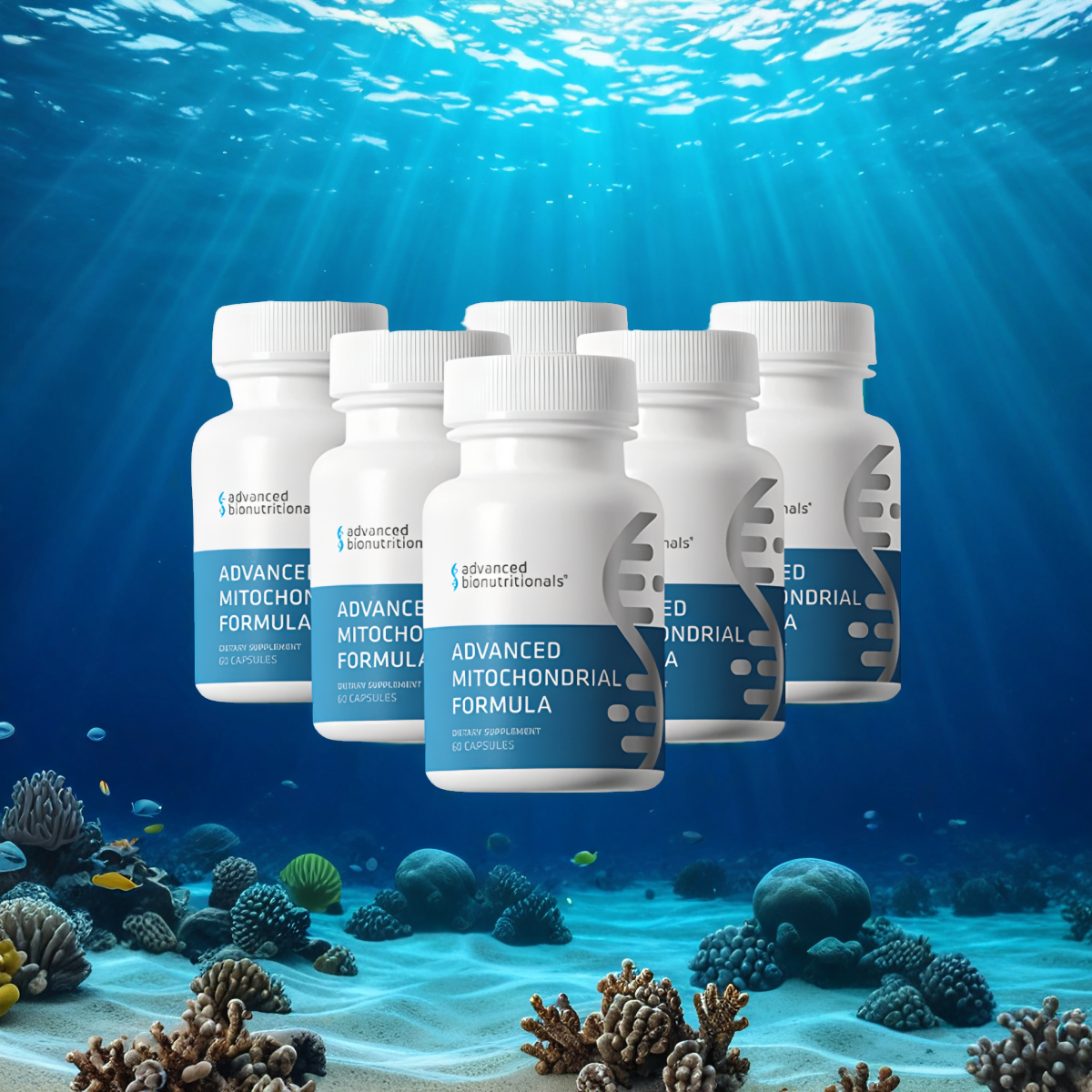 Advanced Mitochondrial Formula (6 Bottles)